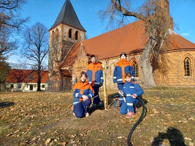 Baumpflanzung Schorbus  (Bild vergr&ouml;&szlig;ern)