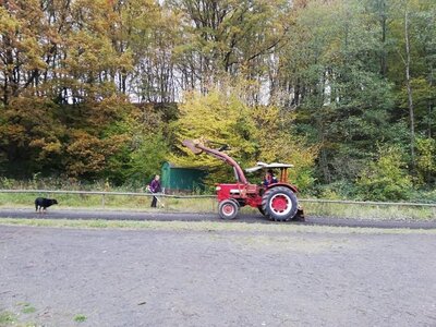 Foto des Albums: Bahnarbeitstag am 30. Oktober