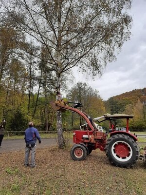 Foto des Albums: Bahnarbeitstag am 30. Oktober