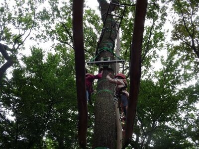 Foto des Albums: Sommerferienaktion: Seilgarten Hannover