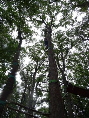 Foto des Albums: Sommerferienaktion: Seilgarten Hannover