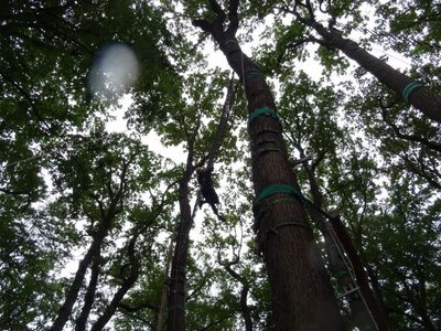Foto des Albums: Sommerferienaktion: Seilgarten Hannover