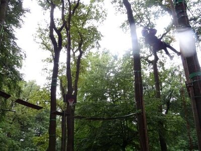 Foto des Albums: Sommerferienaktion: Seilgarten Hannover