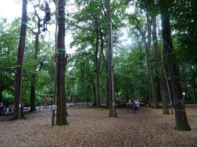 Foto des Albums: Sommerferienaktion: Seilgarten Hannover