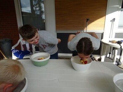 Foto des Albums: Sommerferienaktion: Teamchallenge