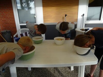 Foto des Albums: Sommerferienaktion: Teamchallenge