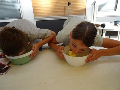 Foto des Albums: Sommerferienaktion: Teamchallenge