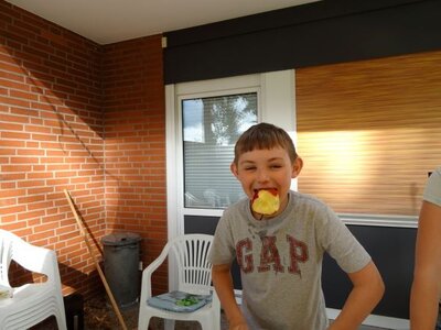 Foto des Albums: Sommerferienaktion: Teamchallenge