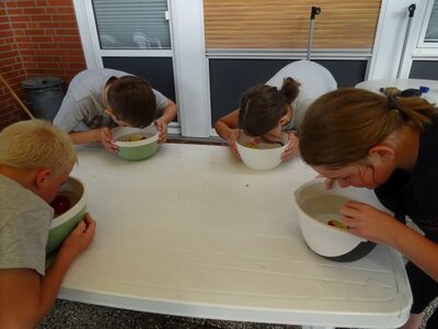 Foto des Albums: Sommerferienaktion: Teamchallenge