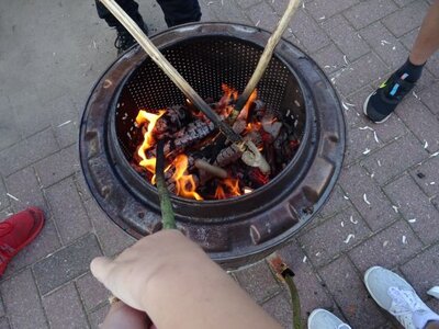 Foto des Albums: Feuertonne