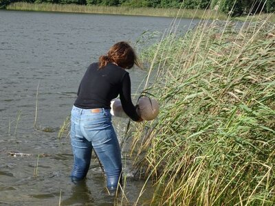 Foto des Albums: Sommerferienaktion: Outdoor-Erste-Hilfe