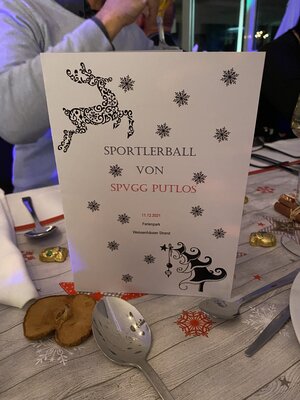 Foto des Albums: Sportlerball