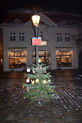 Foto des Albums: Licht im Advent - Eröffnung Weihnachtsbaum-Galerie (10.12.2021)