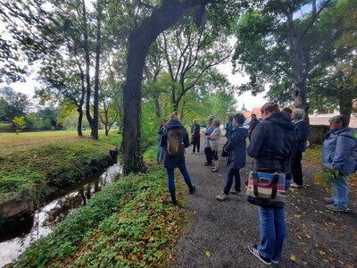 Foto des Albums: Kräuterwanderung