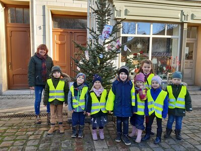 Foto des Albums: Weihnachtsbaumaktion brachte tolle Ergebnisse