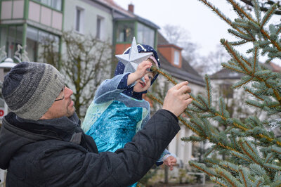 Foto des Albums: Weihnachtsbaumaktion brachte tolle Ergebnisse