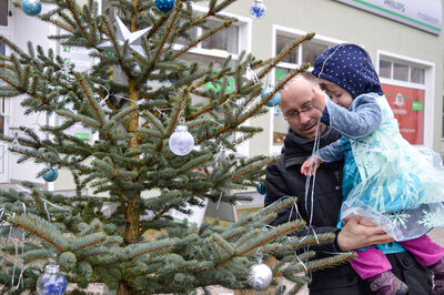 Foto des Albums: Weihnachtsbaumaktion brachte tolle Ergebnisse