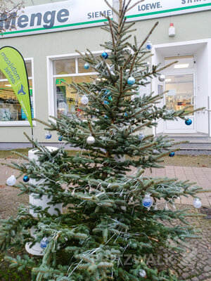 Foto des Albums: Weihnachtsbaumaktion brachte tolle Ergebnisse