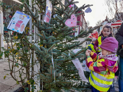 Foto des Albums: Weihnachtsbaumaktion brachte tolle Ergebnisse