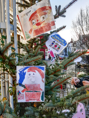 Foto des Albums: Weihnachtsbaumaktion brachte tolle Ergebnisse