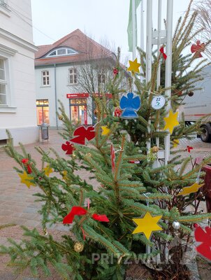 Foto des Albums: Weihnachtsbaumaktion brachte tolle Ergebnisse