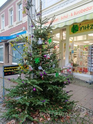 Foto des Albums: Weihnachtsbaumaktion brachte tolle Ergebnisse