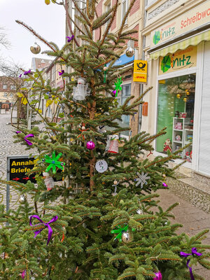 Foto des Albums: Weihnachtsbaumaktion brachte tolle Ergebnisse