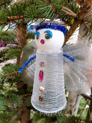 Foto des Albums: Weihnachtsbaumaktion brachte tolle Ergebnisse