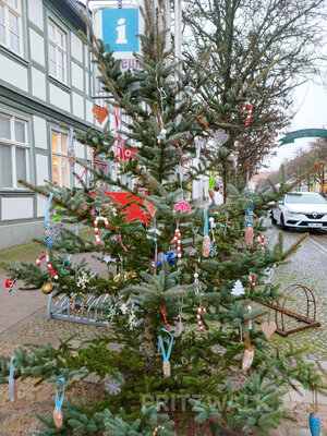 Foto des Albums: Weihnachtsbaumaktion brachte tolle Ergebnisse