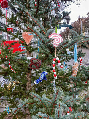 Foto des Albums: Weihnachtsbaumaktion brachte tolle Ergebnisse