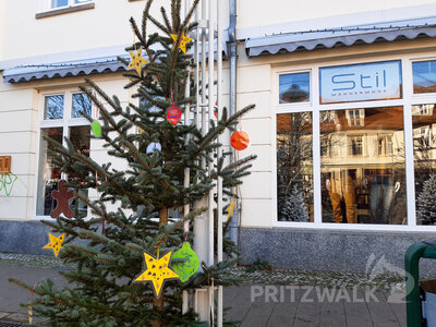 Foto des Albums: Weihnachtsbaumaktion brachte tolle Ergebnisse