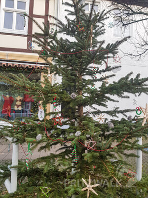 Foto des Albums: Weihnachtsbaumaktion brachte tolle Ergebnisse