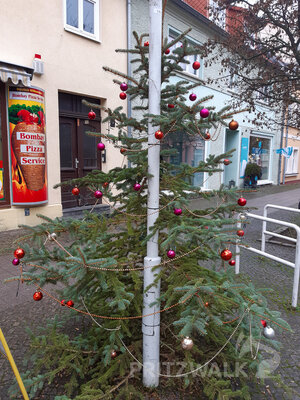 Foto des Albums: Weihnachtsbaumaktion brachte tolle Ergebnisse