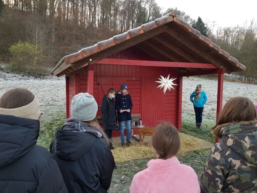 Bild der Galerie