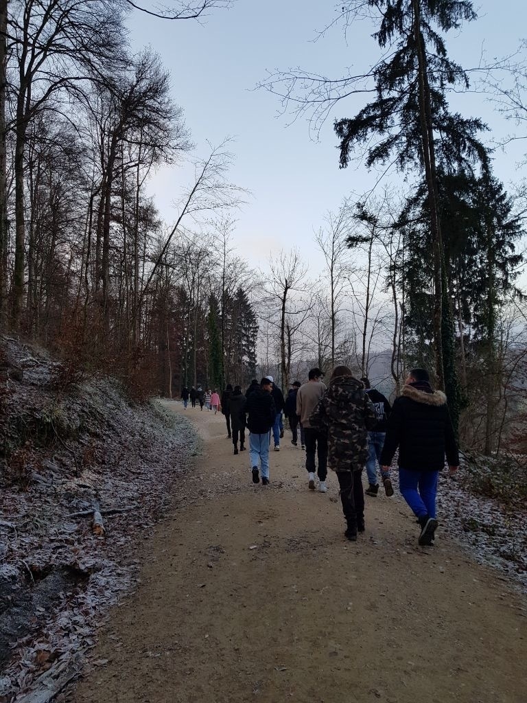 Bild der Galerie