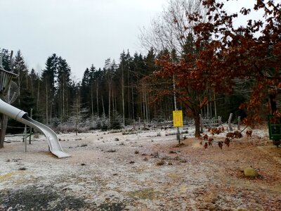 Foto des Albums: Rundwanderung Holzfigurenpfad Großensterz bei Mitterteich
