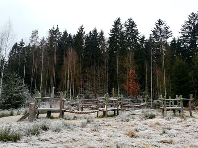 Foto des Albums: Rundwanderung Holzfigurenpfad Großensterz bei Mitterteich