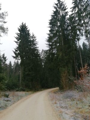Foto des Albums: Rundwanderung Holzfigurenpfad Großensterz bei Mitterteich