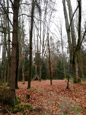 Foto des Albums: Rundwanderung Holzfigurenpfad Großensterz bei Mitterteich