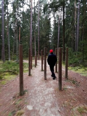 Foto des Albums: Rundwanderung Holzfigurenpfad Großensterz bei Mitterteich