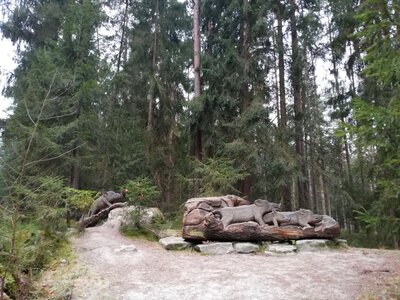 Foto des Albums: Rundwanderung Holzfigurenpfad Großensterz bei Mitterteich