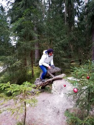 Foto des Albums: Rundwanderung Holzfigurenpfad Großensterz bei Mitterteich