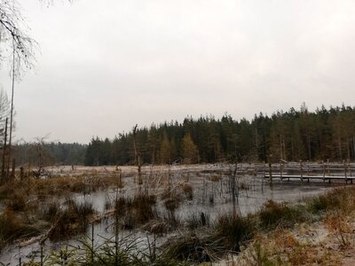 Foto des Albums: Rundwanderung Holzfigurenpfad Großensterz bei Mitterteich