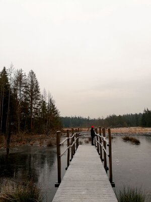 Foto des Albums: Rundwanderung Holzfigurenpfad Großensterz bei Mitterteich