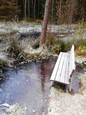 Foto des Albums: Rundwanderung Holzfigurenpfad Großensterz bei Mitterteich