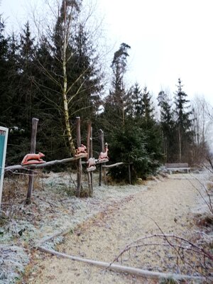 Foto des Albums: Rundwanderung Holzfigurenpfad Großensterz bei Mitterteich