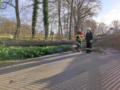 Foto des Albums: Einsätze und Ausbildung 2022 (01. 01. 2022)