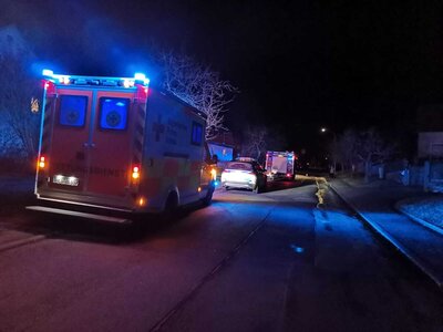 Foto des Albums: B 3 - Heckenbrand am Gebäude
