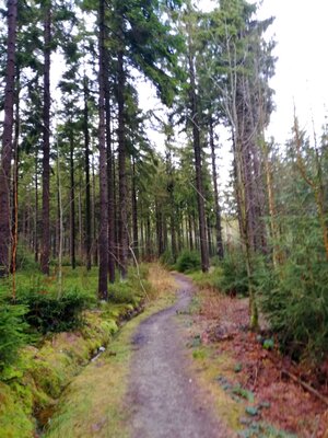 Foto des Albums: Jahresabschlusswanderung 2021