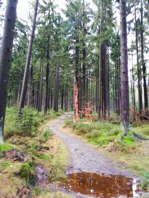 Foto des Albums: Jahresabschlusswanderung 2021